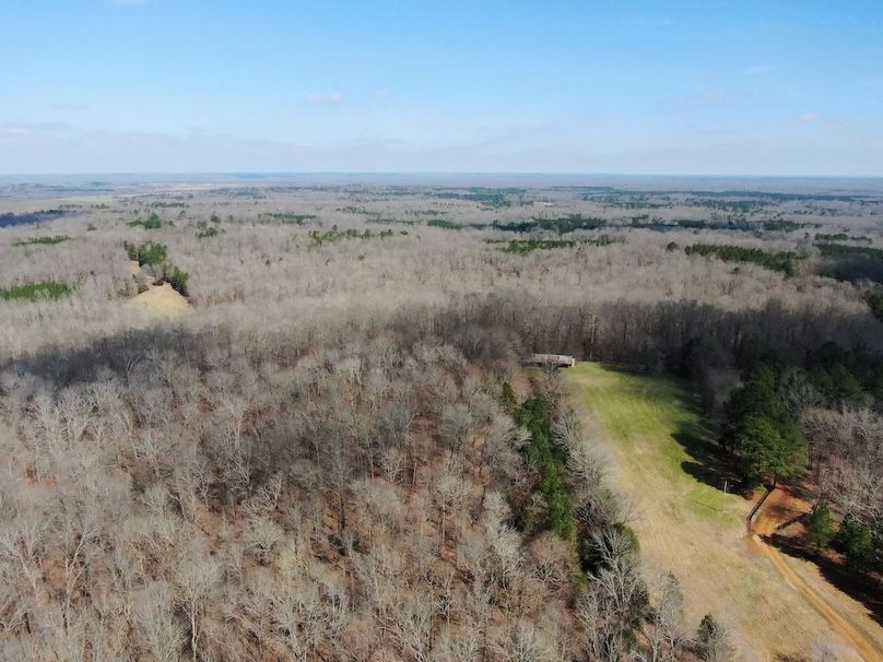 (16)Hardwoods and Old Structure