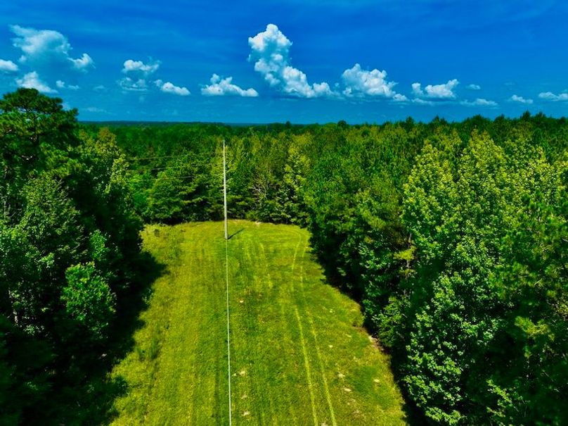 A1472E7E-2626-4AD7-98BF-7724A56780B3_1_105_c