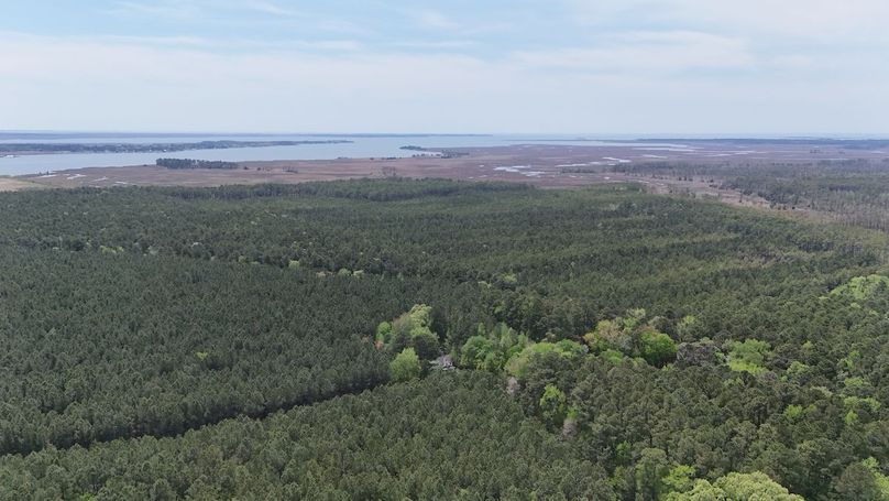 _dji_fly_20250424_133122_0024_1745526019571_photo