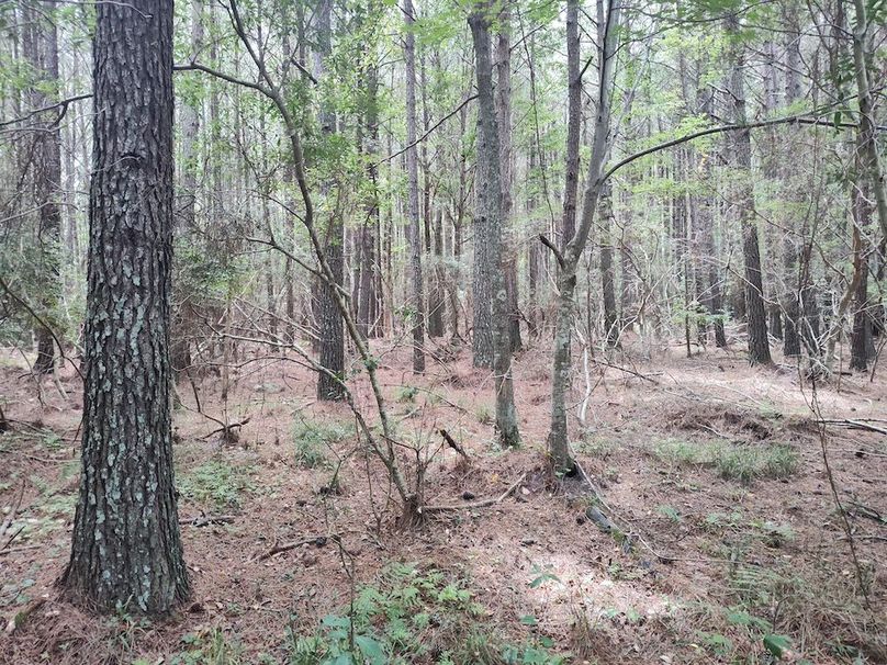 IMG_20250830_135109783