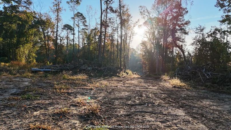 Claiborne Co-151-Geronimo-43