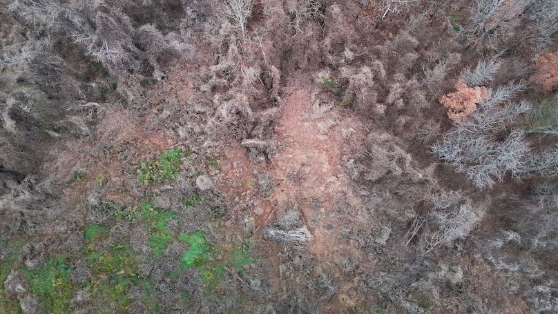 Yazoo Co - 75 - Batton-37