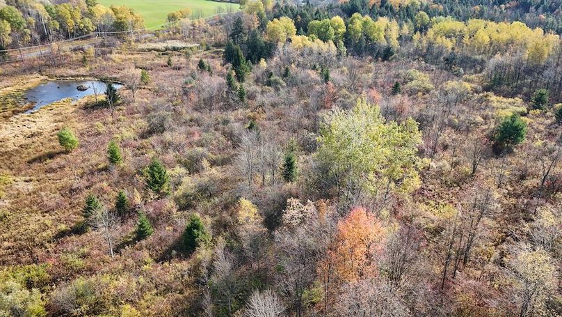 DJI_20251019122424_0759_D