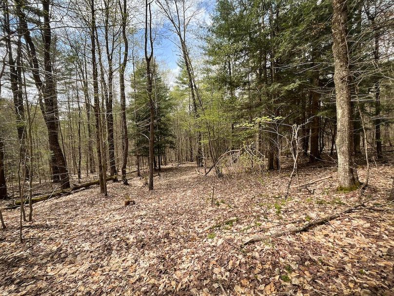 Tioga_76.65_Matyjas_Photos_6