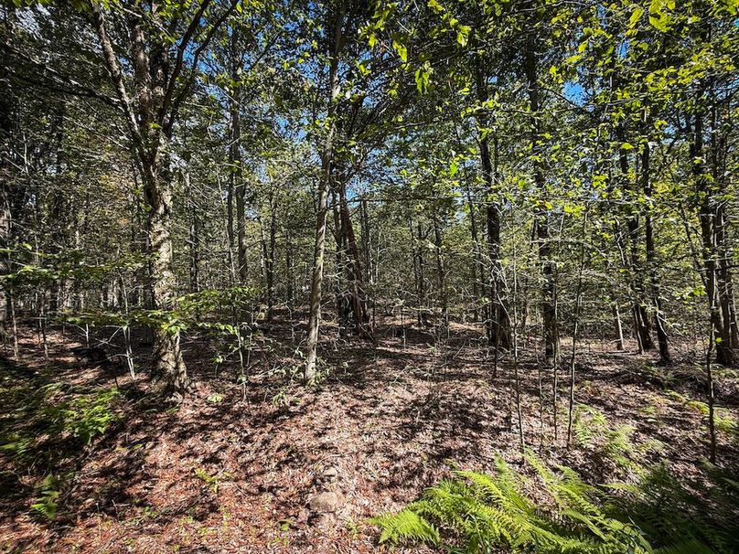 Oswego NY 18.18 Martin Photos 21