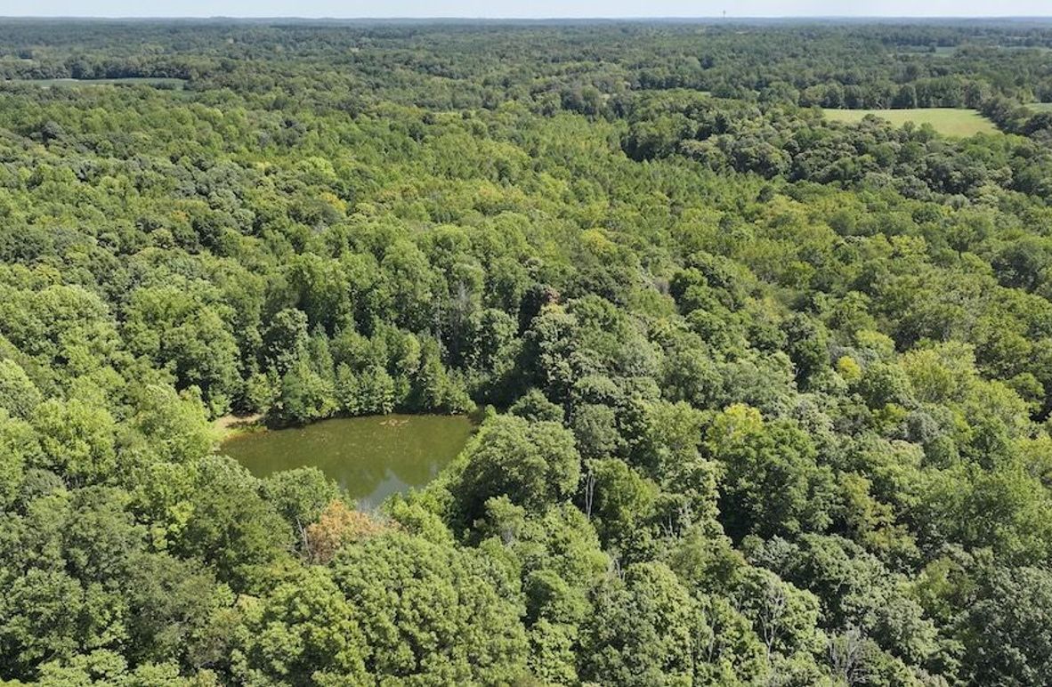 dji_fly_20240904_132556_0367_1725471196792_photo