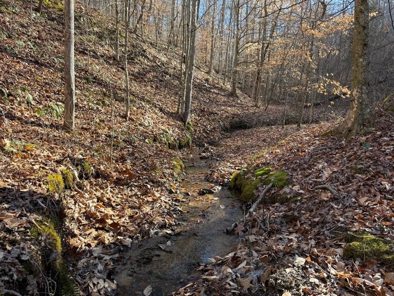 006 stream leading up the main valley near the middle of the property