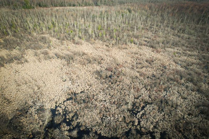 StLawrence_142.7_Bosse_Photos_50