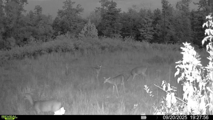 016687000534913-100-2-09202025192756-V-SYFW00170