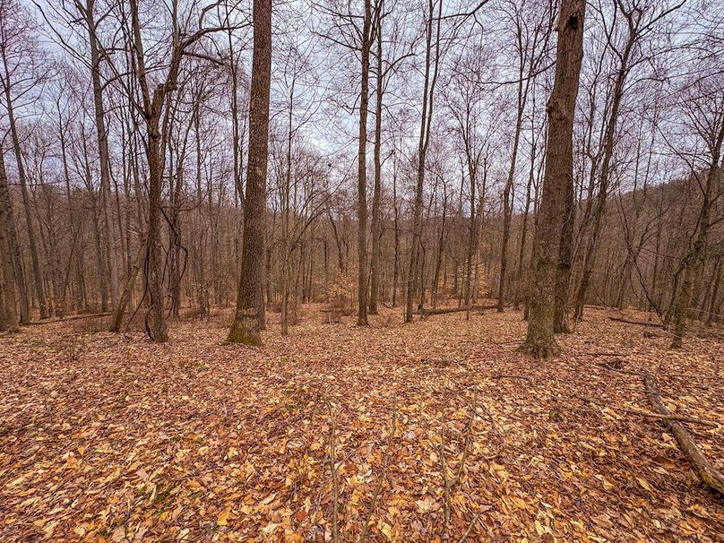 Tyler, WV 90 AC Burkhart-50