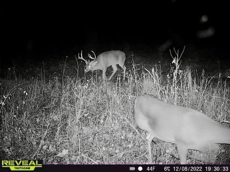 865519049946661-100-4-12082022193032-W1000845