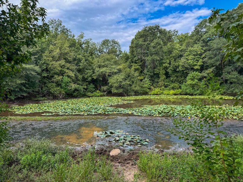 41 Jefferson 117ac - bethard-24