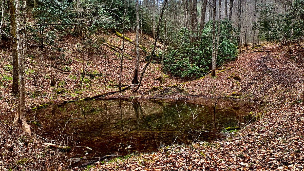 Secluded Mountain Property Overlooking Historical Maymead And Neva TN
