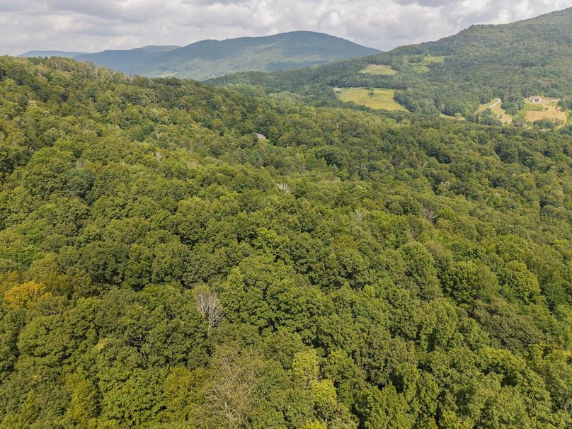 DJI_20250808152237_0011_D