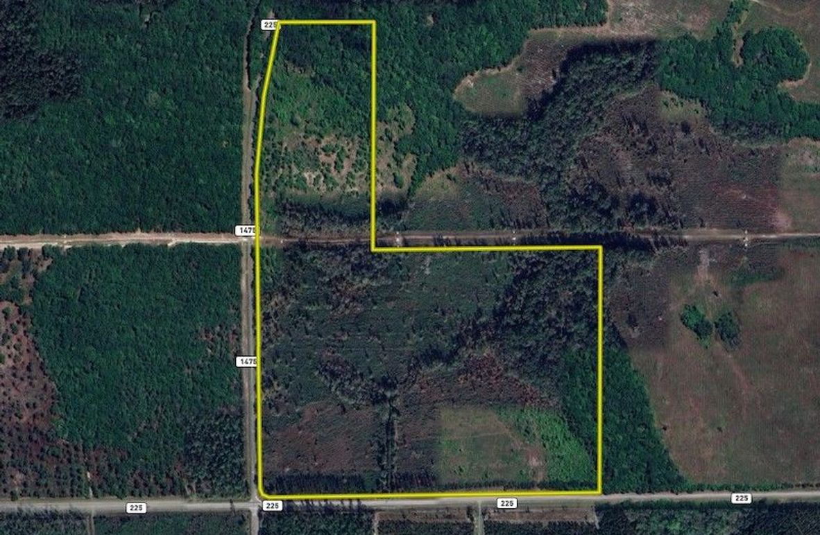 Alachua_84.27_tight