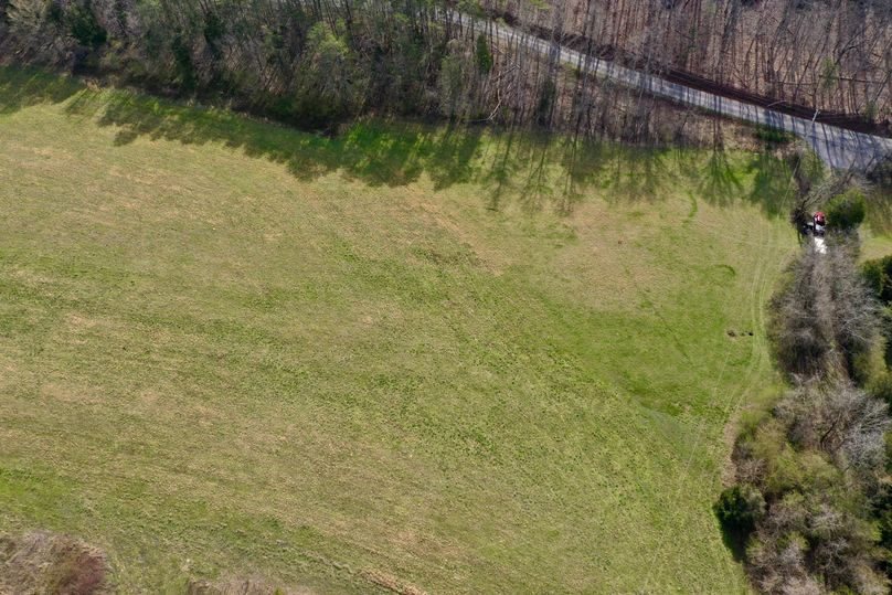 DJI_0517