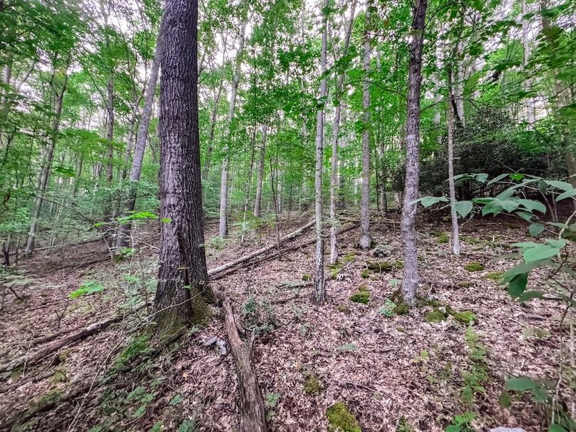 Webster, WV 42 AC Barger-11