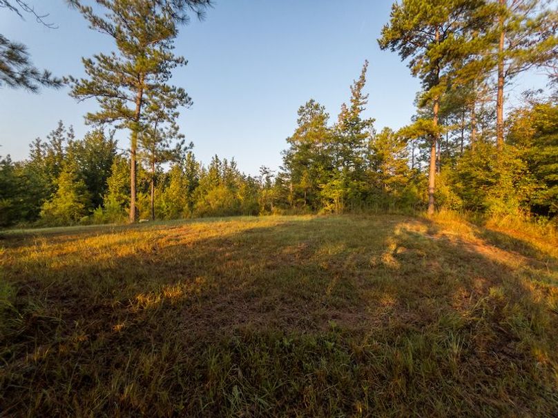 Madison Co - 40 - Clerk-12