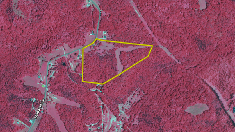 Screenshot 2024-07-26 115649