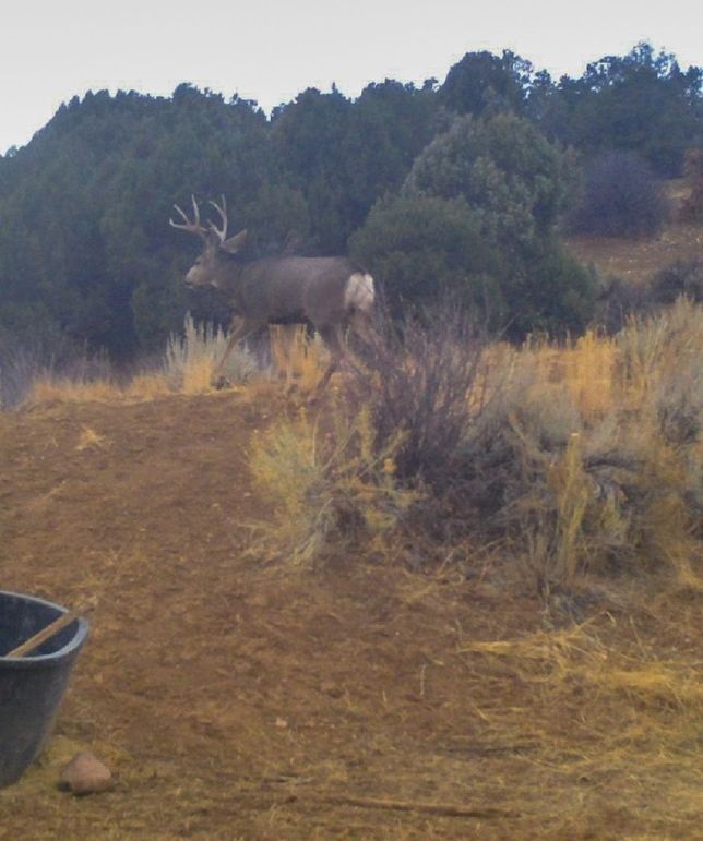 Copy of Screenshot_20231122-094851