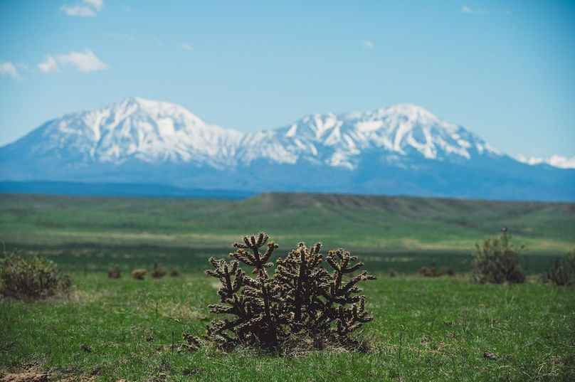 Huerfano Co 35.81 Bennett Outdoor Services -27