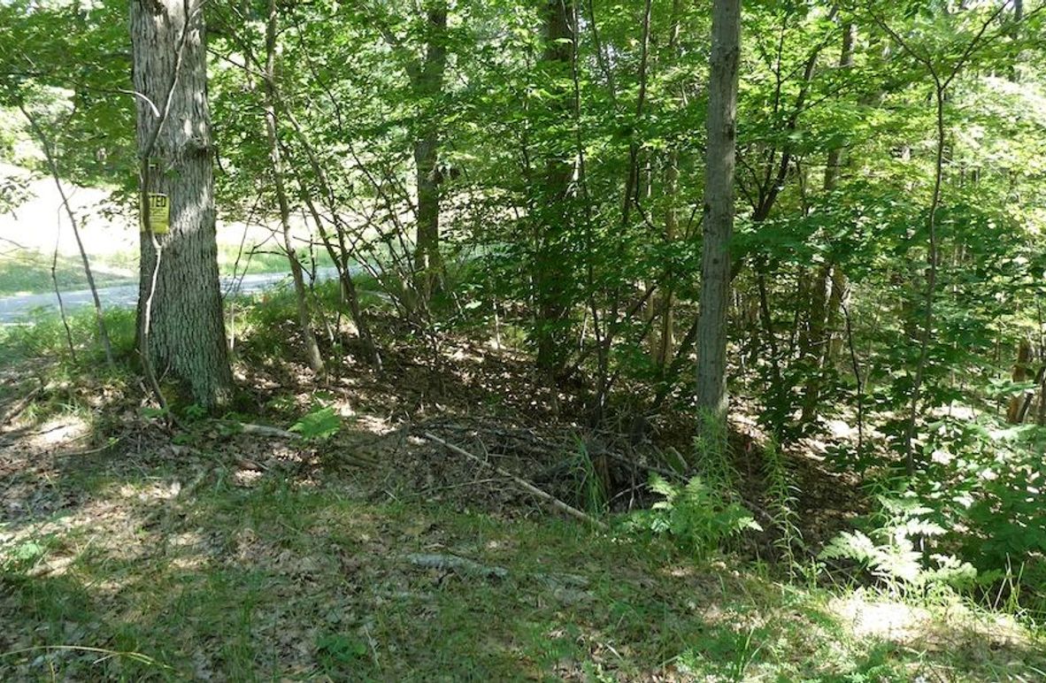 P1040387