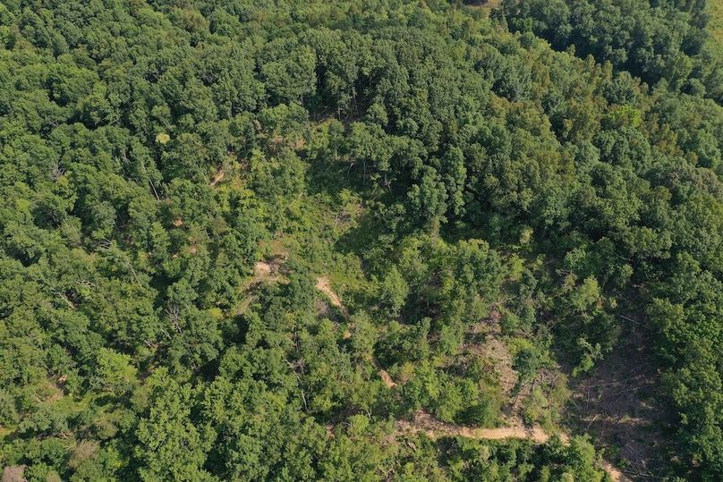 019 aerial drone shot outlining the 5-10 acres where the pasture area was being cleared