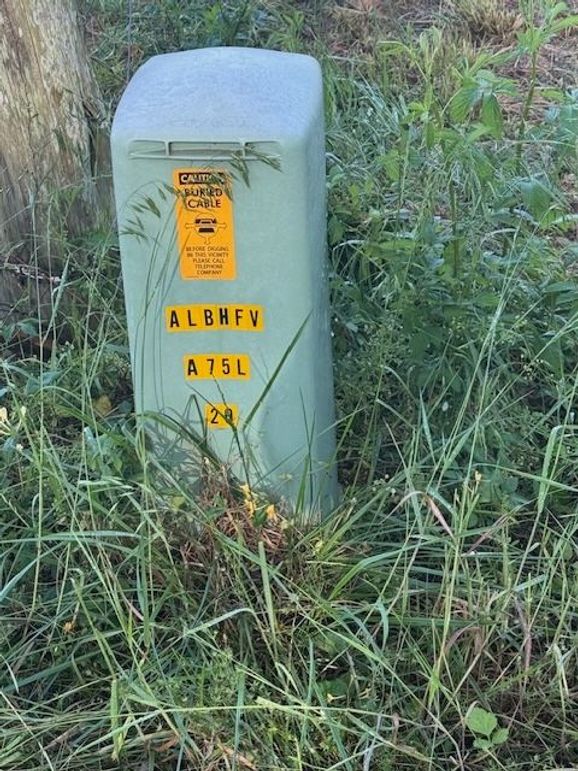 9943