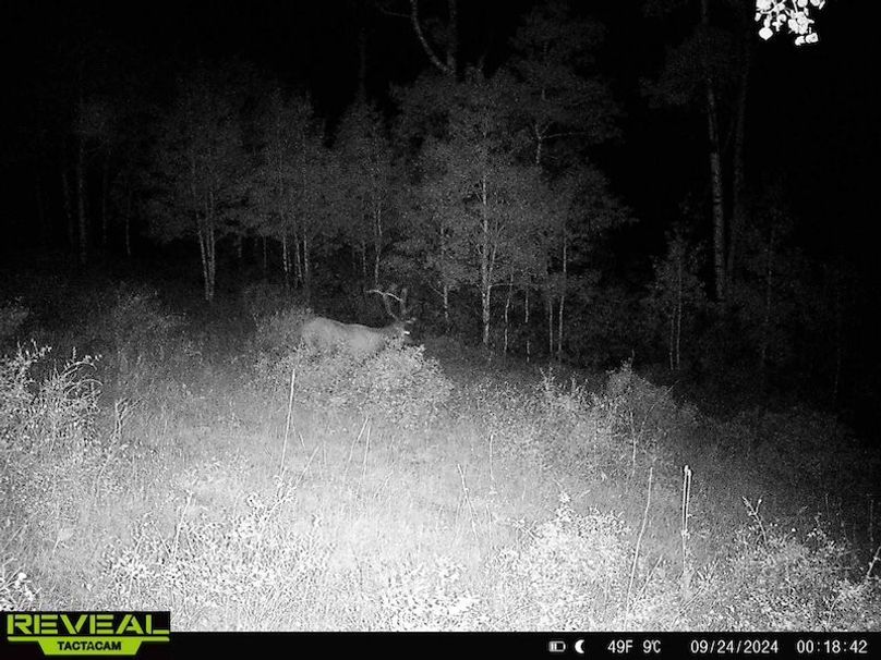 864049052055672-20-4-09242024001842-HD-W1001205 (1)