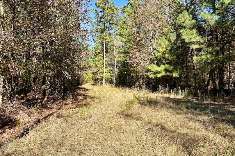 024 Food Plot 2 001