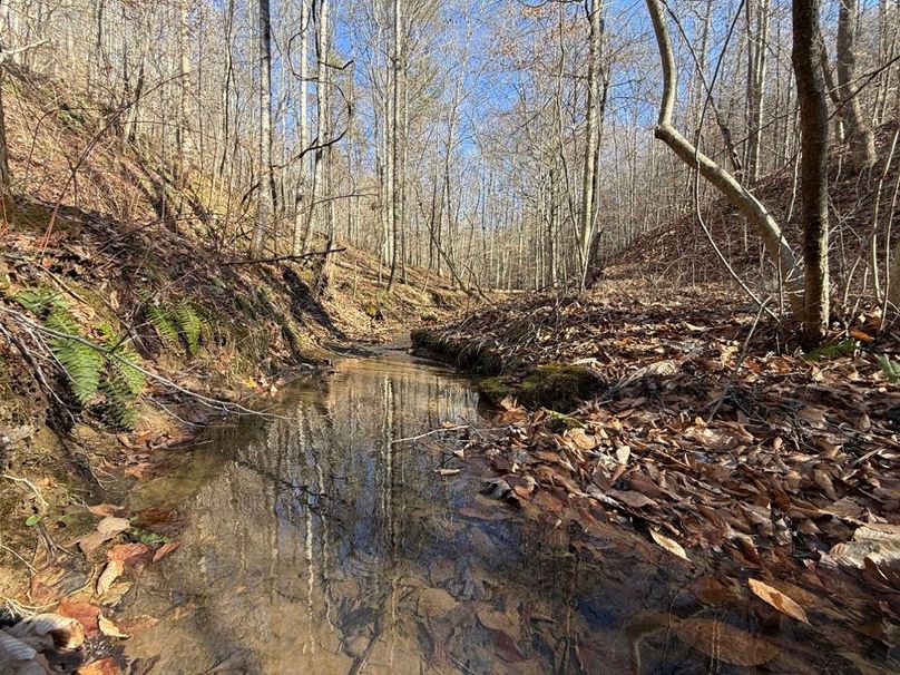 026 the main stream near the north boundary of the property