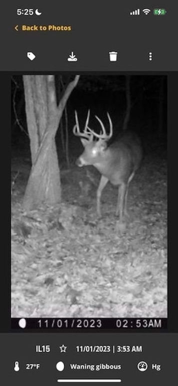 FD72E629-07B4-4E57-969E-D34ADB3C5DA9_4_5005_c