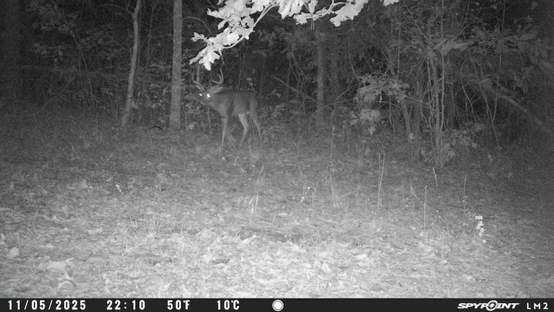 Spypoint_20251107_060358