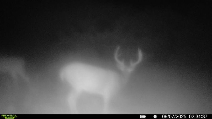 016578002025259-100-3-09072025023137-SYFW08540