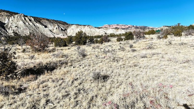 DJI_20241219101919_0067_D