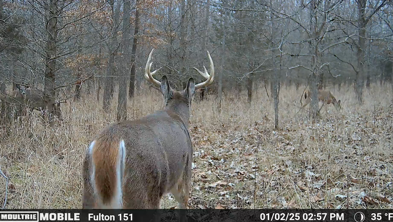 Screen Shot 2025-07-16 at 12.53.41 AM