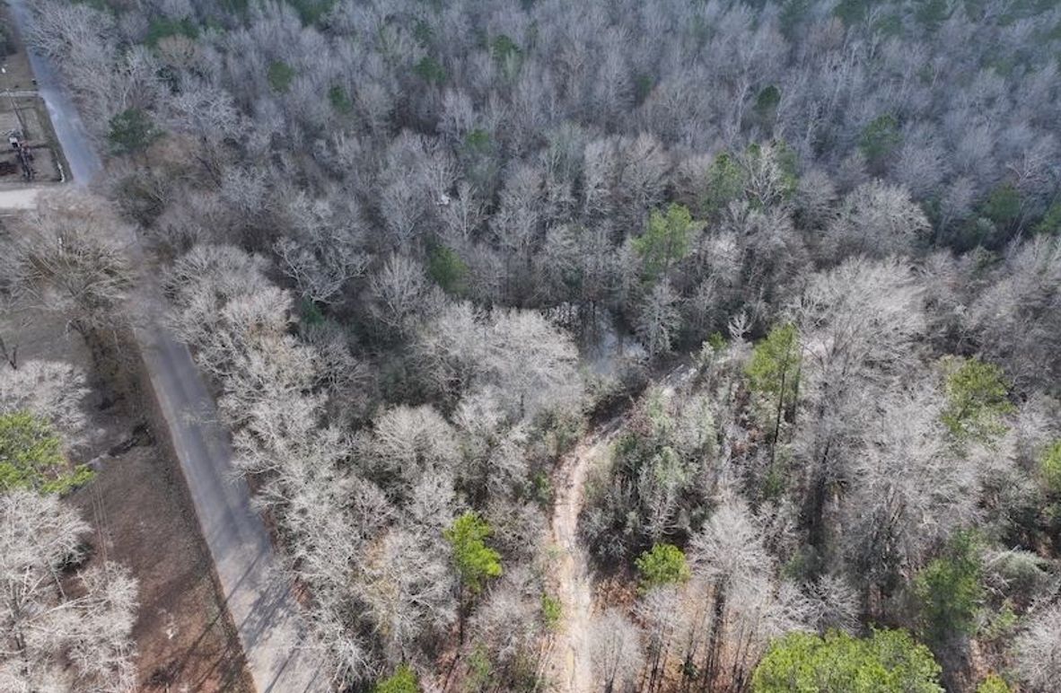 dji_fly_20260212_135526_0029_1771284253439_photo