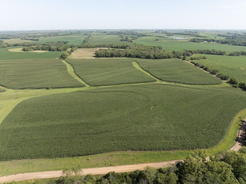 DJI_20250729101937_0072_D