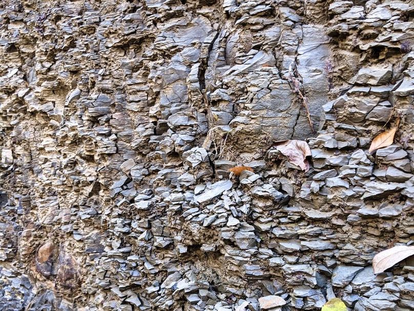 014 awesome textured rock wall-2