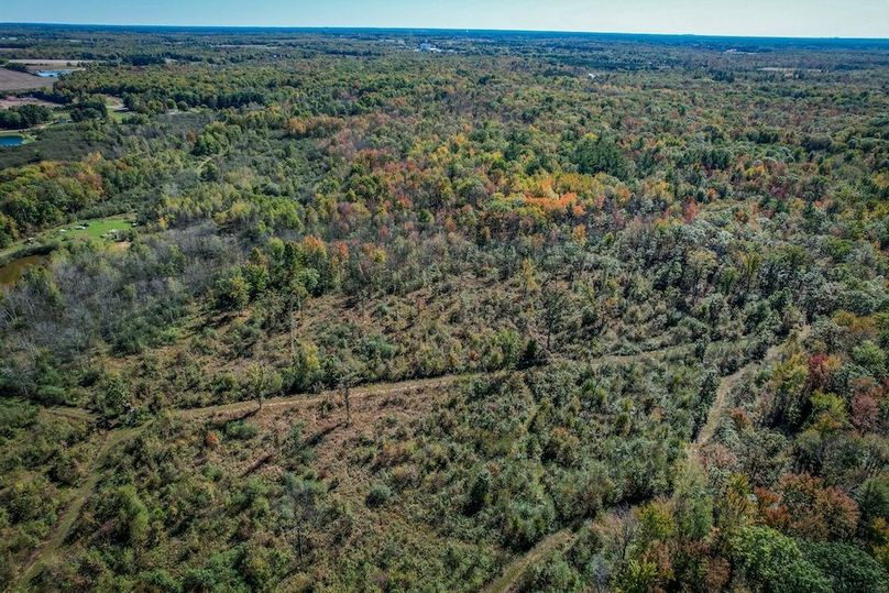 Wood 41.451, Collins -53