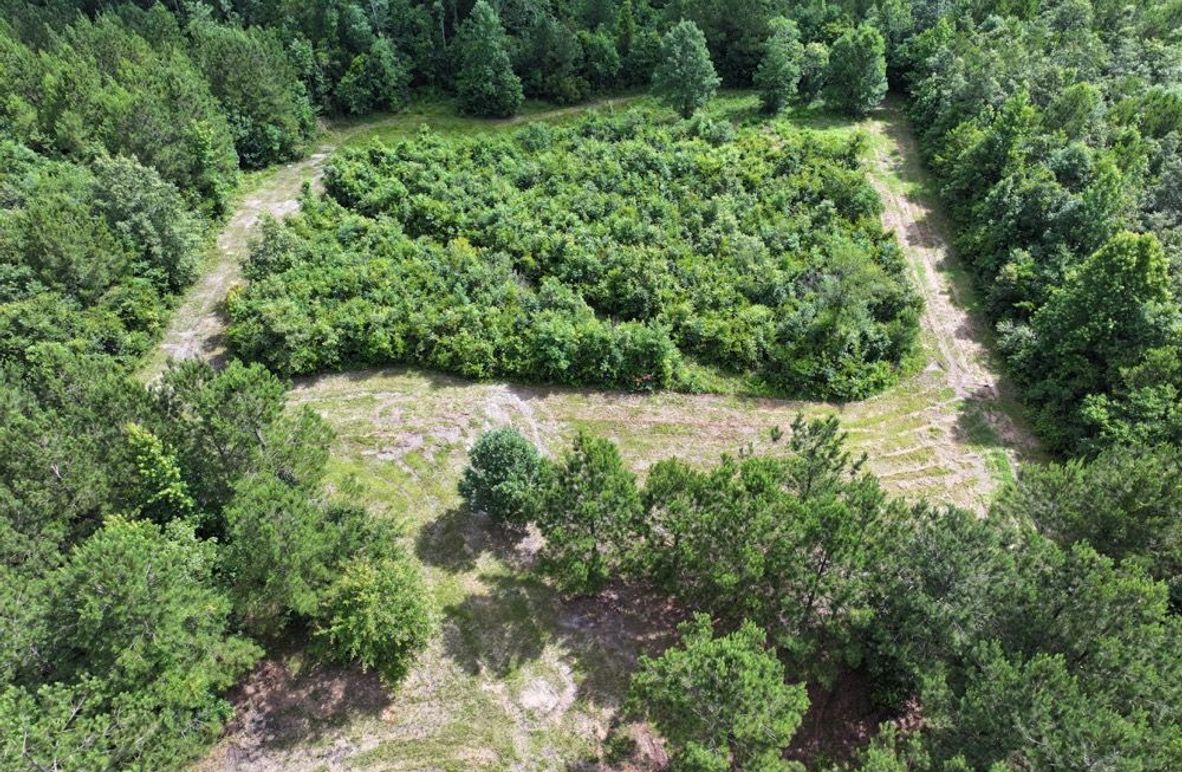 2dji_fly_20250612_101740_0102_1750261385816_photo