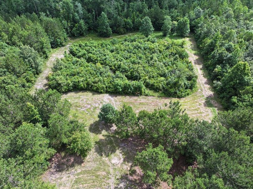 2dji_fly_20250612_101740_0102_1750261385816_photo