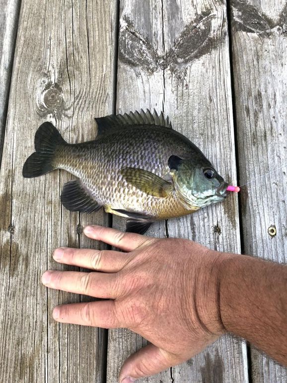 b5b895a6-97fb-4a51-a50e-40b72df30a38