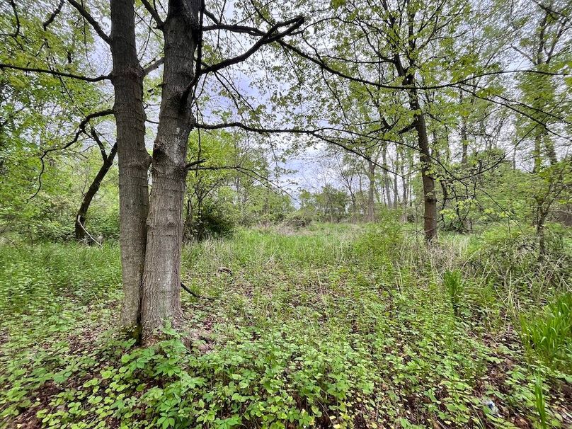 Chemung_3.5_Rouseland Photo 5