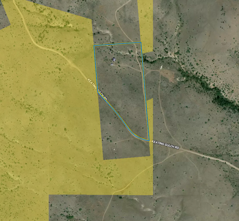 Screen Shot 2024-02-14 at 9.19.38 AM