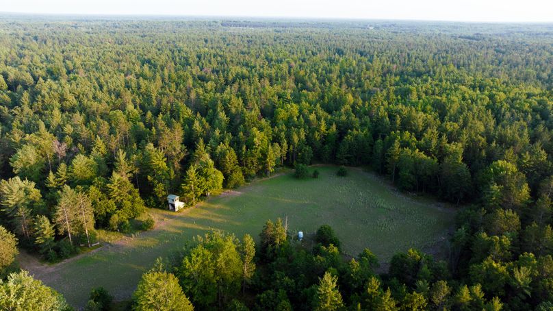 Ogemaw MI 475 Featured Pro Photo-0109