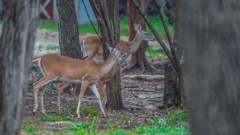 untitled-28