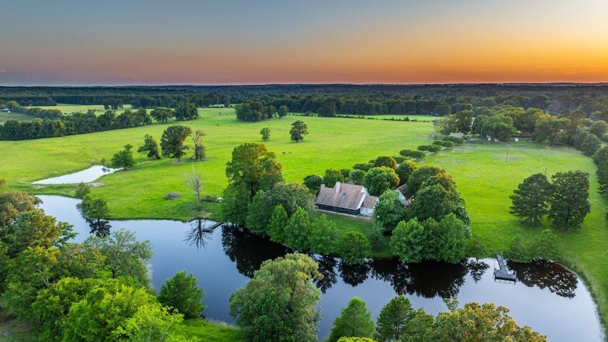 Piney Woods Cattle Ranch Whitetail Properties