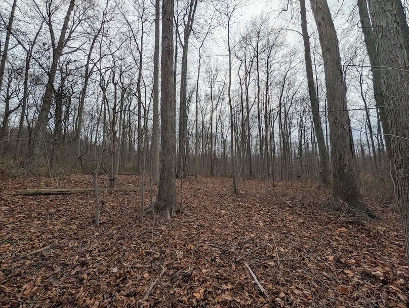 PXL_20251120_185737783