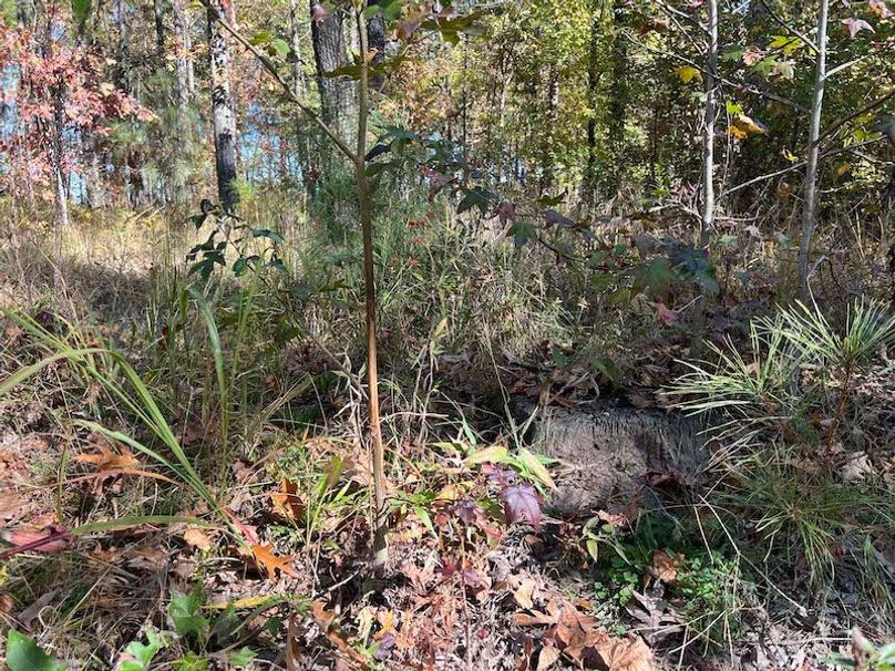 jeff 5020251111_0334